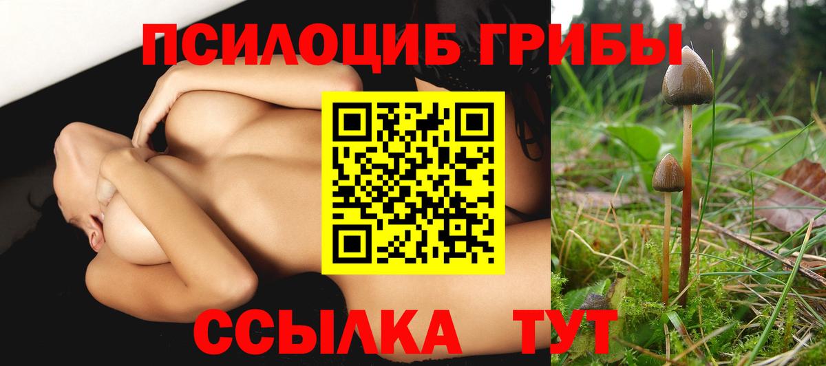 Галлюциногенные грибы мицелий  Вход с VPN  Ейск 